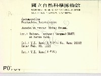 登錄號:F0000704藏品圖，第2張