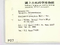 登錄號:F0000705藏品圖，第2張