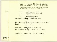 登錄號:F0000707藏品圖，第2張