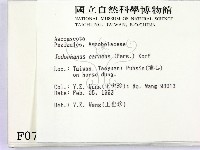 登錄號:F0000708藏品圖，第2張
