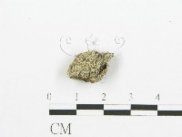登錄號:F0000709藏品圖，第3張