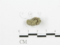 登錄號:F0000709藏品圖，第4張