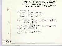 登錄號:F0000710藏品圖，第2張