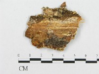 登錄號:F0000710藏品圖，第3張