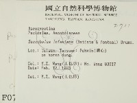 登錄號:F0000711藏品圖，第2張