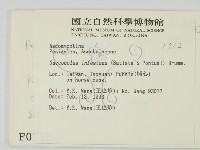 登錄號:F0000712藏品圖，第2張
