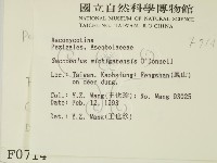 登錄號:F0000714藏品圖，第2張