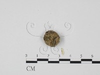 登錄號:F0000714藏品圖，第3張