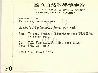 登錄號:F0000718藏品圖，第2張