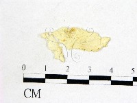 登錄號:F0000718藏品圖，第3張