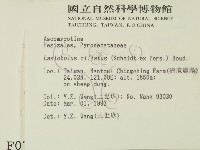 登錄號:F0000719藏品圖，第2張