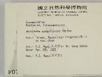 登錄號:F0000721藏品圖，第2張