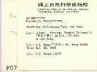 登錄號:F0000723藏品圖，第2張