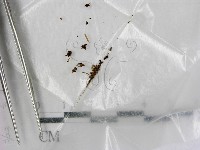 登錄號:F0000723藏品圖，第1張