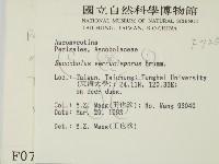 登錄號:F0000725藏品圖，第2張
