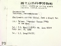 登錄號:F0000726藏品圖，第2張