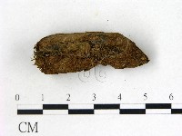 登錄號:F0000726藏品圖，第3張