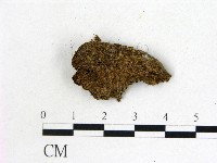 登錄號:F0000727藏品圖，第3張