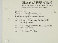 登錄號:F0000728藏品圖，第2張