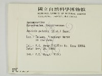 登錄號:F0000729藏品圖，第2張