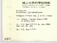 登錄號:F0000731藏品圖，第2張