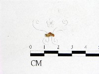 登錄號:F0000734藏品圖，第3張