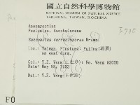 登錄號:F0000735藏品圖，第2張