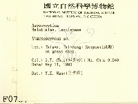 登錄號:F0000737藏品圖，第2張