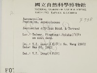 登錄號:F0000738藏品圖，第2張