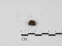 登錄號:F0000738藏品圖，第1張