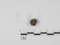 登錄號:F0000738藏品圖，第3張