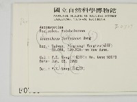 登錄號:F0000739藏品圖，第2張