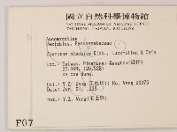 登錄號:F0000741藏品圖，第2張