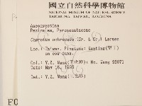 登錄號:F0000743藏品圖，第2張