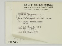 登錄號:F0000747藏品圖，第2張