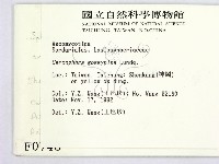 登錄號:F0000748藏品圖，第2張