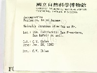 登錄號:F0000749藏品圖，第2張