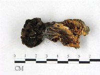 登錄號:F0000749藏品圖，第3張