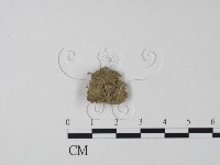 登錄號:F0000750藏品圖，第1張