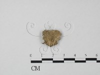 登錄號:F0000750藏品圖，第3張