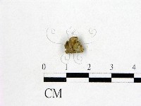 登錄號:F0000751藏品圖，第1張