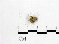 登錄號:F0000751藏品圖，第3張