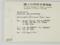 登錄號:F0000754藏品圖，第2張