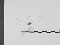 登錄號:F0000754藏品圖，第1張