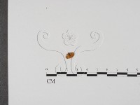 登錄號:F0000754藏品圖，第3張