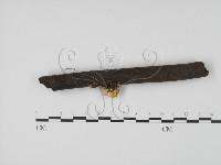 登錄號:F0000756藏品圖，第4張