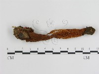 登錄號:F0000757藏品圖，第1張