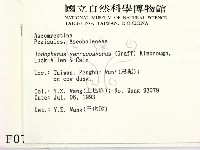 登錄號:F0000758藏品圖，第2張