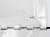 登錄號:F0000758藏品圖，第1張