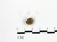 登錄號:F0000760藏品圖，第1張